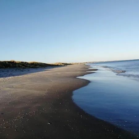 Charming Family - By Traum Ålbæk
